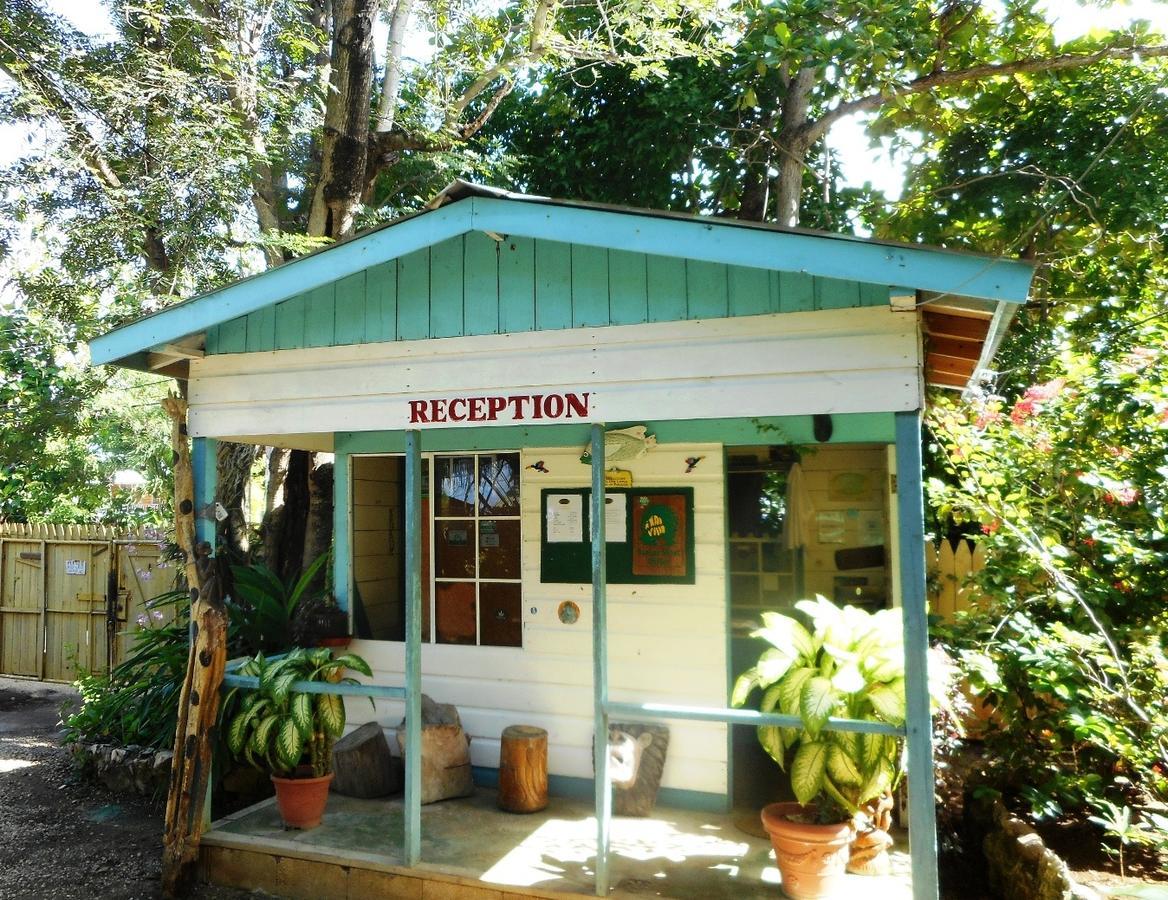 Banana Shout Resort Negril Esterno foto